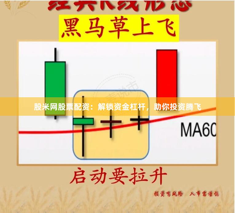 股米网股票配资：解锁资金杠杆，助你投资腾飞