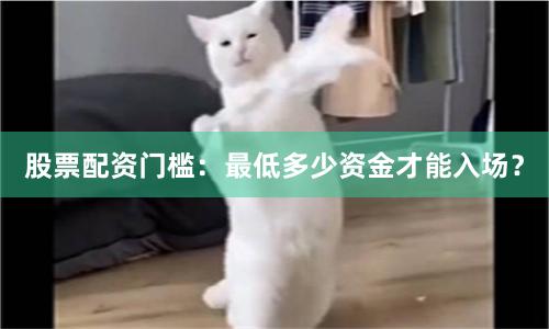 股票配资门槛：最低多少资金才能入场？